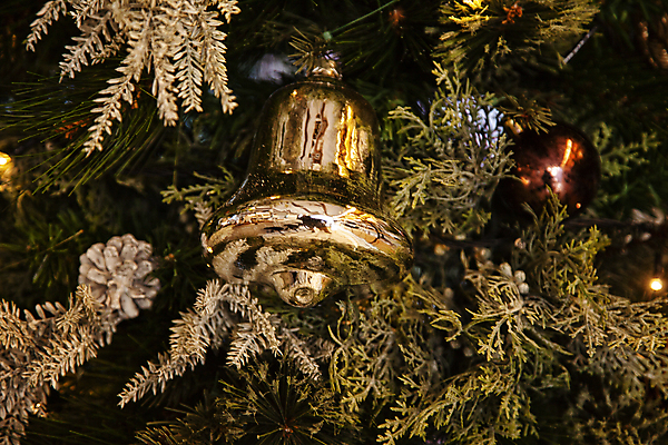 포토 JPG 주간 크리스마스장식 크리스마스 사람없음 야외 크리스마스트리 종 솔방울 오너먼트 국내포토 자연요소 기념일 파일형식