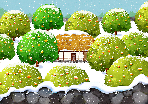 PSD 겨울 일러스트 귤 돌담 초가집 풍경 사람없음 제주도 눈 귤나무 귤밭 눈덮임 국내일러스트 자연요소 나무 계절 컨셉 밭 과일 날씨 한옥 한국 담장 돌_바위 파일형식