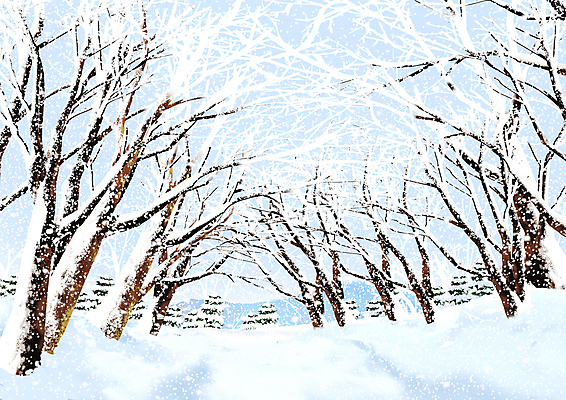 PSD 나무 도로 설경 겨울 일러스트 눈꽃 풍경 사람없음 제주도 흰색 눈 숲 눈덮임 국내일러스트 자연요소 식물 계절 길 컬러 컨셉 교통시설 날씨 한국 눈_날씨 파일형식