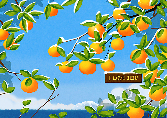 PSD 구름 하늘색 잎 겨울 일러스트 귤 매달리기 풍경 사람없음 제주도 나뭇가지 하트 눈 표지판 귤나무 눈덮임 국내일러스트 자연요소 모양 나무 식물 계절 컨셉 과일 모션 날씨 한국 알림판 파란색 파일형식