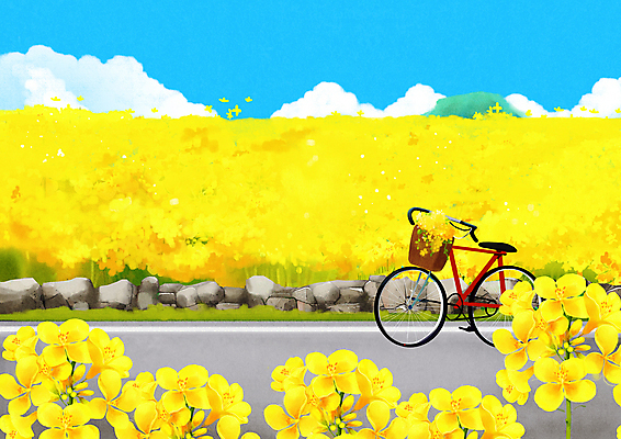 PSD 구름 도로 일러스트 풍경 사람없음 제주도 노란색 자전거 유채 유채밭 국내일러스트 자연요소 꽃 길 컬러 밭 교통시설 한국 바이크 파일형식