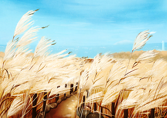 PSD 하늘색 일러스트 하늘 갈대 풍경 사람없음 제주도 노란색 갈대밭 국내일러스트 식물 컬러 한국 파란색 파일형식 갈대_식물