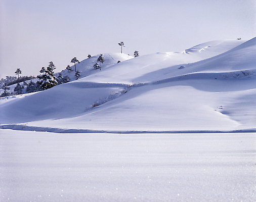 포토 JPG 주간 나무 설경 겨울 자연 하늘 사람없음 야외 눈 언덕 겨울풍경 설산 눈덮임 국내포토 자연요소 식물 계절 컨셉 날씨 산 풍경 생태계 파일형식