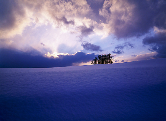 포토 JPG 주간 나무 구름 설경 겨울 자연 하늘 사람없음 야외 눈 겨울풍경 설산 눈덮임 빛무리 국내포토 자연요소 식물 계절 컨셉 날씨 산 풍경 빛 생태계 파일형식