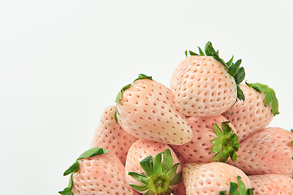 포토 JPG 스튜디오촬영 딸기 실내 사람없음 쌓기 흰배경 유기농 제철 카피스페이스 제철과일 백딸기 국내포토 웰빙 백그라운드 과일 모션 내부 공백 흰색 파일형식