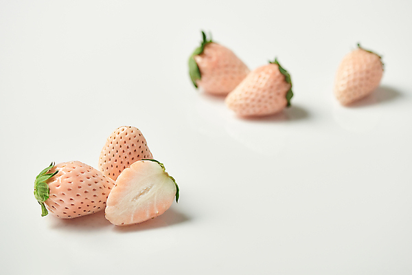 포토 JPG 스튜디오촬영 딸기 단면 실내 사람없음 흰배경 유기농 제철 카피스페이스 제철과일 백딸기 국내포토 웰빙 백그라운드 과일 내부 공백 흰색 파일형식