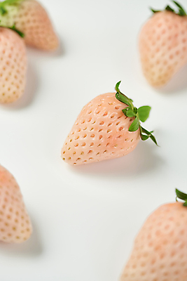 포토 JPG 스튜디오촬영 딸기 실내 사람없음 흰배경 유기농 제철 제철과일 백딸기 국내포토 웰빙 백그라운드 과일 내부 흰색 파일형식