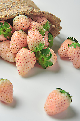 포토 JPG 스튜디오촬영 딸기 실내 사람없음 흰배경 유기농 자루 쏟아짐 제철 제철과일 백딸기 국내포토 웰빙 백그라운드 과일 모션 내부 흰색 파일형식