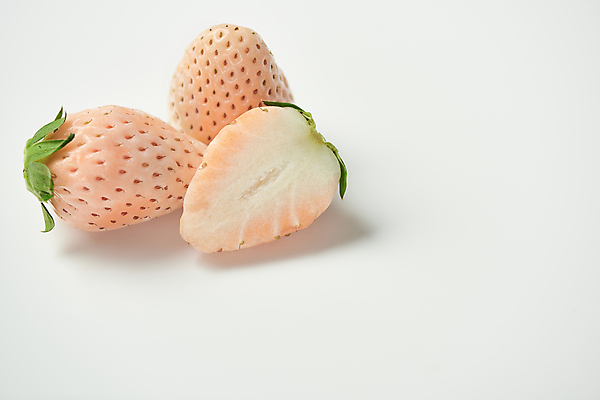 포토 JPG 스튜디오촬영 딸기 단면 실내 사람없음 흰배경 유기농 제철 카피스페이스 제철과일 백딸기 국내포토 웰빙 백그라운드 과일 내부 공백 흰색 파일형식