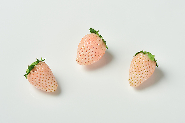 포토 JPG 스튜디오촬영 딸기 실내 사람없음 흰배경 유기농 제철 제철과일 백딸기 국내포토 웰빙 백그라운드 과일 내부 흰색 파일형식