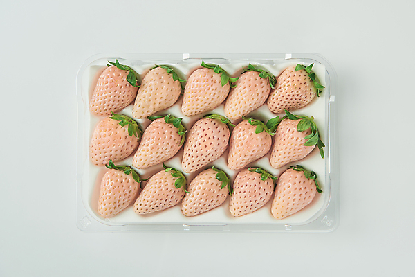 포토 JPG 스튜디오촬영 포장 딸기 실내 사람없음 플라스틱 흰배경 유기농 제철 포장용기 제철과일 백딸기 국내포토 웰빙 백그라운드 과일 재질 내부 흰색 포장재료 파일형식