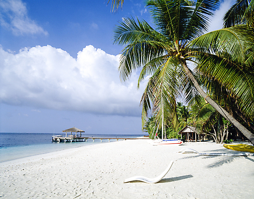 포토 JPG 주간 구름 해외풍경 하늘 풍경 해변 사람없음 야외 여름 야자수 맑음 보트 휴양지 선베드 원두막 몰디브 국내포토 자연요소 나무 해외 계절 아시아 바다 배_교통 의자 날씨 장소 파일형식