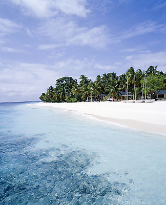 포토 JPG 주간 구름 해외풍경 바다 하늘 풍경 해변 사람없음 야외 야자수 맑음 보트 휴양지 몰디브 국내포토 자연요소 나무 해외 아시아 배_교통 날씨 장소 파일형식