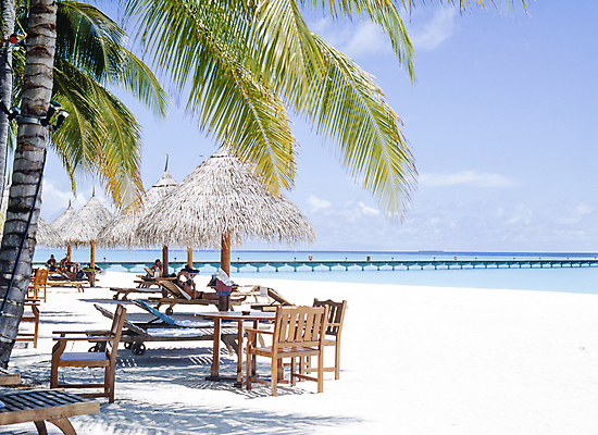 포토 JPG 주간 전신 구름 해외풍경 탁자 하늘 풍경 여러명 성인 해변 야외 여름 모래사장 야자수 눕기 맑음 파라솔 휴양지 야외의자 성인만 국내포토 자연요소 나무 해외 계절 바다 가구 다수 의자 모션 날씨 사람 장소 파일형식