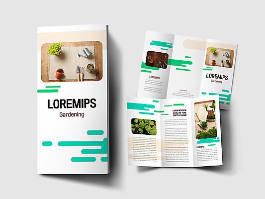 템플릿 표지디자인 표지 내지 화분 리플렛 3단접지 이끼 팜플렛 사람없음 물뿌리개 흰색 모종삽 원예 다육식물 민트색 원예용품 행운목 이미지템플릿 AI파일 식물 컬러 생활용품 취미 삽 파일형식 벡터