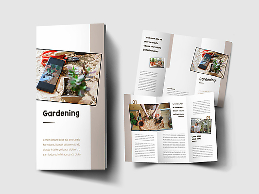 템플릿 표지디자인 표지 남자 내지 화분 리플렛 3단접지 들기 팜플렛 상반신 성인 세명 30대 스마트폰 갈색 기댐 한국인 흰색 원예 다육식물 분갈이 화분갈이 화초가위 성인남자만 홈가드닝 이미지템플릿 AI파일 식물 컬러 모션 가위_도구 사람 동양인 취미 장년 핸드폰 스마트기기 남자만 성인만 파일형식 벡터