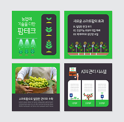 PSD 템플릿 손 여자 40대 중년 웹템플릿 농업 방울토마토 한명 들기 상반신 신체부위 초록색 노트북 바구니 새싹 검은색 한국인 물주기 사과나무 중년여자한명만 스마트팜 카드뉴스 망고포도 AI_인공지능 이미지템플릿 나무 식물 1 산업 컬러 토마토 모션 사람 동양인 성인 전자제품 농장 사과 청포도 여자한명만 중년여자만 파일형식