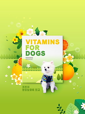PSD 편집이미지 한마리 꽃 반려견 나뭇잎 타이포그라피 사람없음 연두색 반려동물 개 강아지 자몽 비타민 강아지옷 영양제 포메라니안 이미지편집 식물 동물 문자 1 잎 과일 포유류 초록색 약 애견용품 영양소 파일형식