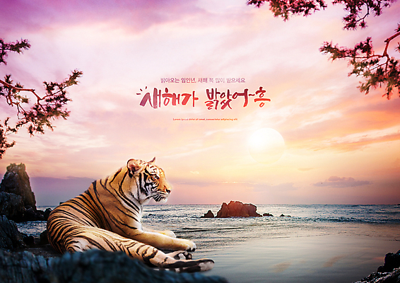 PSD 편집이미지 한마리 손글씨 바다 분홍색 새해 앉기 타이포그라피 글자캘리그라피 해변 사람없음 태양 일출 새해인사 소나무 호랑이띠 호랑이 2022년 임인년 이미지편집 자연요소 나무 문자 1 컬러 캘리그라피 포유류 모션 노을 십이지신 인사 연도 파일형식