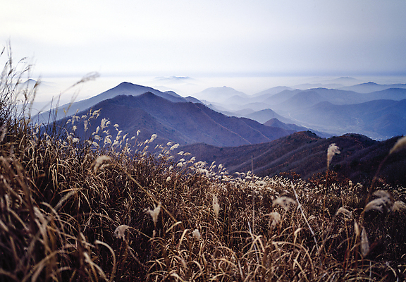 포토 JPG 주간 구름 자연 하늘 산 한국 갈대 풍경 사람없음 야외 산등성이 갈대밭 국내여행 국내포토 자연요소 식물 아시아 여행 생태계 파일형식 갈대_식물