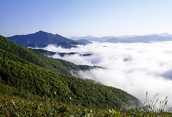 포토 JPG 주간 구름 자연 하늘 산 한국 풍경 사람없음 야외 산등성이 운해 국내여행 국내포토 자연요소 아시아 여행 생태계 파일형식 구름_자연