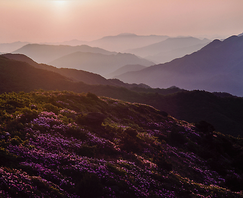 포토 JPG 주간 자연 하늘 산 한국 풍경 사람없음 야외 햇빛 태양 노을 산등성이 국내여행 국내포토 자연요소 아시아 여행 생태계 파일형식