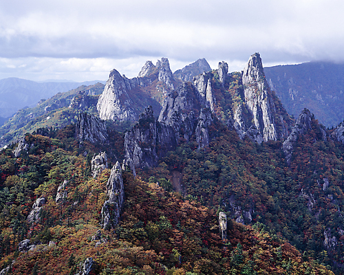 포토 JPG 주간 나무 구름 자연 바위산 한국 풍경 사람없음 야외 숲 국내여행 국내포토 자연요소 식물 아시아 여행 돌산 생태계 파일형식