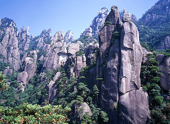 포토 JPG 주간 나무 자연 바위산 한국 풍경 사람없음 야외 국내여행 국내포토 자연요소 식물 아시아 여행 돌산 생태계 파일형식