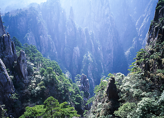 포토 JPG 주간 나무 자연 바위산 한국 풍경 사람없음 야외 햇빛 국내여행 국내포토 자연요소 식물 아시아 여행 태양 돌산 생태계 파일형식