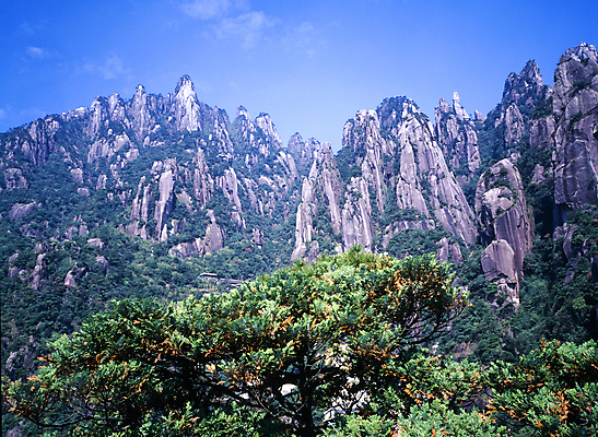포토 JPG 주간 나무 자연 바위산 산 한국 풍경 사람없음 야외 국내여행 국내포토 자연요소 식물 아시아 여행 돌산 생태계 파일형식