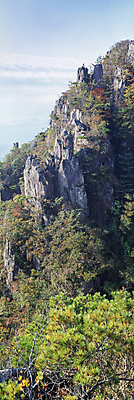 포토 JPG 주간 나무 자연 산 풍경 사람없음 야외 숲 암벽 기암괴석 국내포토 자연요소 식물 바위_돌 생태계 파일형식