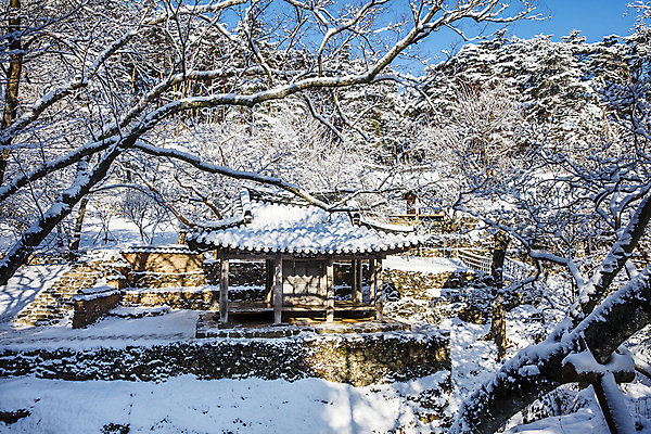 포토 JPG 주간 고건축 겨울 풍경 사람없음 야외 햇빛 맑음 눈 소나무 전라남도 담양 소쇄원 쌓인눈 겨울풍경 광풍각 눈덮임 국내포토 자연요소 나무 건축물 계절 컨셉 날씨 태양 전라도 명승지 파일형식