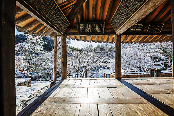 포토 JPG 주간 나무 겨울 그림자 풍경 사람없음 야외 눈 전라남도 담양 소쇄원 현판 겨울풍경 제월당 눈덮임 국내포토 자연요소 식물 계절 컨셉 고건축 날씨 전라도 명승지 파일형식