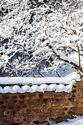 포토 JPG 주간 겨울 풍경 사람없음 야외 나뭇가지 눈 전라남도 담양 소쇄원 쌓인눈 기와담장 겨울풍경 눈덮임 국내포토 자연요소 나무 계절 컨셉 날씨 기와 담장 전라도 명승지 파일형식