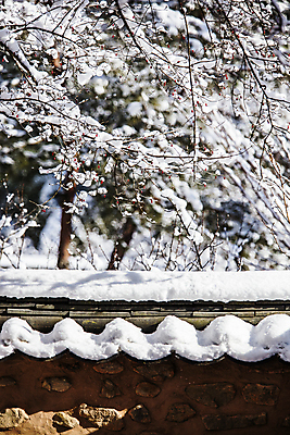 포토 JPG 주간 겨울 그림자 풍경 사람없음 야외 아웃포커스 나뭇가지 눈 전라남도 담양 소쇄원 쌓인눈 기와담장 겨울풍경 눈덮임 국내포토 자연요소 나무 계절 컨셉 날씨 촬영기법 기와 담장 전라도 명승지 파일형식