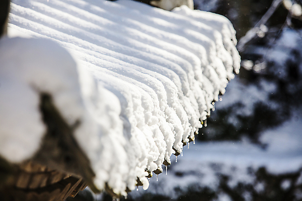 포토 JPG 주간 겨울 풍경 사람없음 야외 아웃포커스 눈 소프트포커스 전라남도 고드름 담양 소쇄원 쌓인눈 기와담장 겨울풍경 눈덮임 국내포토 자연요소 계절 컨셉 날씨 촬영기법 기와 담장 얼음 전라도 명승지 파일형식