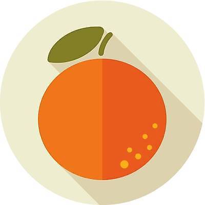 EPS 해외이미지 오렌지 일러스트 사람없음 주황색 플랫 해외일러스트 컬러 과일 파일형식 벡터 이미지허브