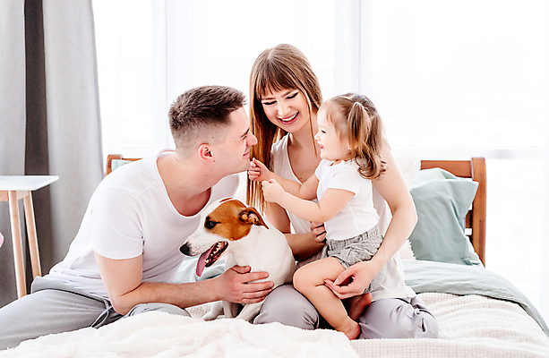 포토 JPG 해외이미지 전신 백인 한마리 응시 여자 남자 딸 반려견 어린이 안기 엄마 실내 앉기 상반신 성인 앞모습 옆모습 세명 화목 침실 육아 침대 커튼 아빠 개 육아대디 해외포토 서양인 1 시선 뷰포인트 가구 컨셉 포유류 가족 모션 사람 내부 반려동물 파일형식 이미지허브