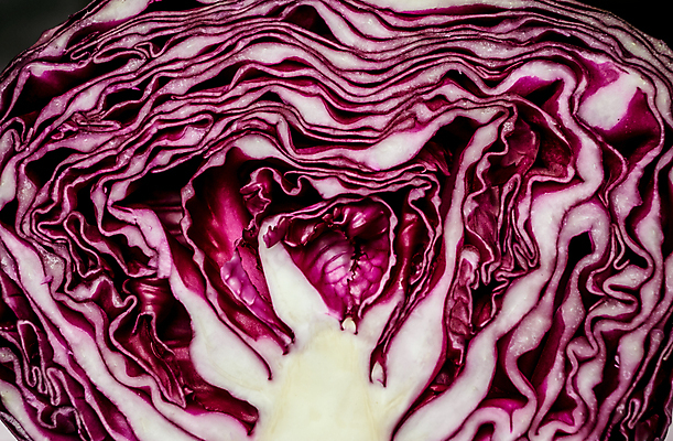 포토 JPG 해외이미지 식물 1 음식 조각 백그라운드 잎 농업 다이어트 채소 재료 부분 건강 사람없음 빨간색 보라색 저녁식사 수확 신선 닫기 자르기 먹기 묘사 유기농 양배추 날것 내추럴 고립 숙성 식용 영양소 미니멀 해외포토 웰빙 산업 컬러 모션 식사 파일형식 이미지허브