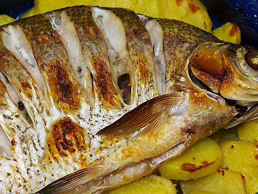 포토 JPG 해외이미지 전통 접시 음식 바다 다이어트 감자 파슬리 건강 어류 요리 사람없음 신선 오븐 그릴 지중해 레몬 해산물 준비 도미 그리스인 내추럴 점심식사 해외포토 서양인 식기 채소 과일 주방용품 식사 수중동물 가전제품 파일형식 이미지허브