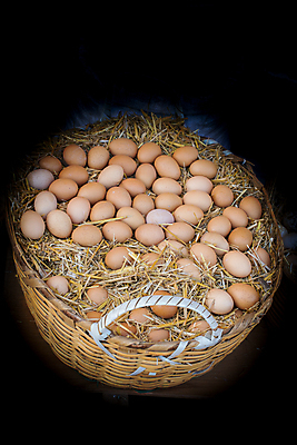 포토 JPG 해외이미지 검은배경 실내 사람없음 바구니 계란 볏짚 가득함 담기 해외포토 백그라운드 모션 내부 알 검은색 짚 파일형식 이미지허브