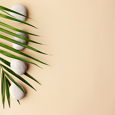 포토 JPG 해외이미지 잎 실내 사람없음 돌_바위 오브젝트 스톤 베이지색배경 카피스페이스 해외포토 식물 백그라운드 내부 공백 베이지색 파일형식 이미지허브