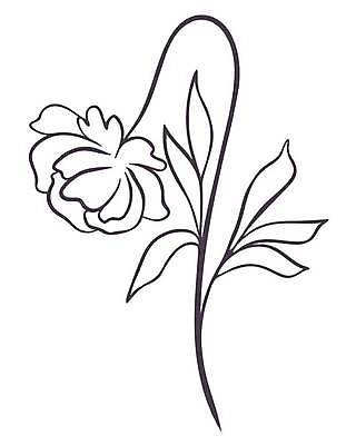 EPS 해외이미지 식물 디자인 꽃잎 꽃 선 결혼 백그라운드 컨셉 꽃무늬 곡선 일러스트 자연 추상 미술 그래픽 장식 장미 유행 정원 검은색 낭만 신용카드 개화 우아함 스케치 문신 심볼 사인 심플 고립 엘리먼트 반복 해외일러스트 컬러 무늬 문화예술 이벤트 금융 생태계 파일형식 벡터 이미지허브