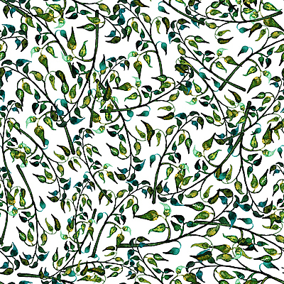 포토 JPG 해외이미지 나무 식물 손 디자인 계절 꽃 종이 백그라운드 잎 꽃무늬 패턴 일러스트 추상 수채화 프레임 미술 사람없음 그래픽 장식 초록색 수확 흰색 나뭇가지 신용카드 화려 그리기 우아함 천 허브 질감 내추럴 고립 옛날 월계수 그리너리 해외일러스트 컬러 컨셉 무늬 농업 모션 문화예술 신체부위 금융 직물 파일형식 트랜드컬러 이미지허브