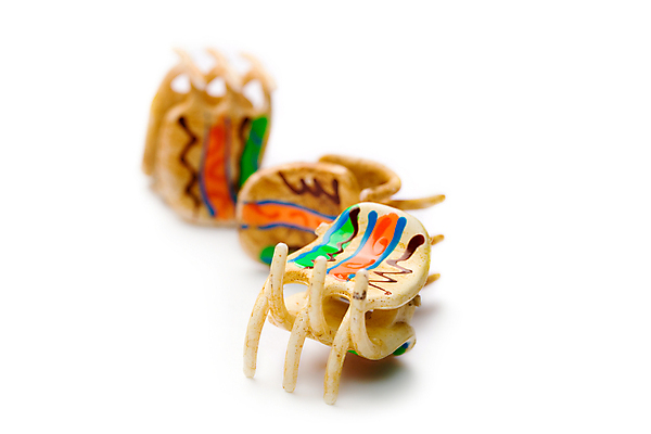 포토 JPG 해외이미지 여자 패턴 3 사람 사람없음 뷰티 유행 침묵 장비 흰색 닫기 상품 플라스틱 자르기 오브젝트 클립 고립 스타일링 스타일 해외포토 컬러 무늬 모션 재질 소리 파일형식 이미지허브