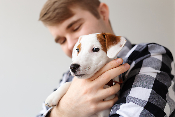 포토 JPG 해외이미지 한마리 남자 반려견 안기 함께함 실내 사랑 한명 상반신 성인 옆모습 친구 반려동물 우정 강아지 잭러셀테리어 성인남자한명만 해외포토 동물 1 감정 뷰포인트 컨셉 관계 모션 사람 내부 개 테리어 남자한명만 성인남자만 파일형식 이미지허브