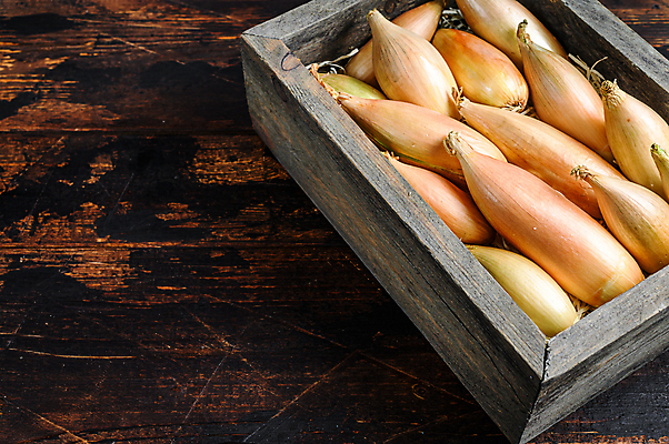 포토 JPG 해외이미지 식물 음식 백그라운드 채소 전구 양파 건강 요리 사람없음 목재 갈색 검은색 흰색 시골 아기 신선 황금 달콤 피부 향신료 유기농 날것 뿌리 내추럴 숙성 채식주의자 카피스페이스 샬롯 해외포토 나무 웰빙 컬러 재료 사람 신체부위 공백 맛 채식 향미료 파일형식 이미지허브