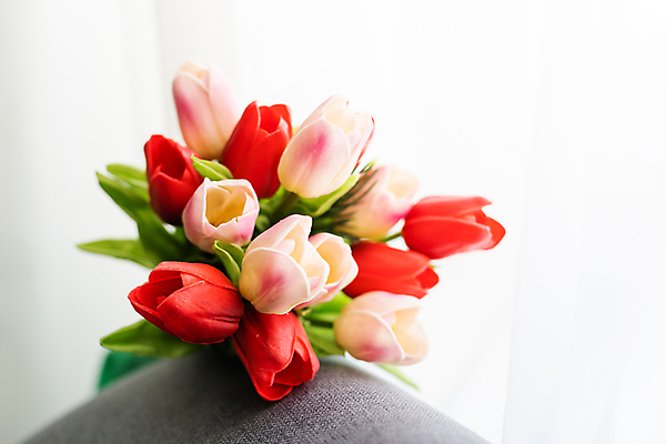 포토 JPG 해외이미지 꽃다발 실내 사람없음 튤립 해외포토 꽃 내부 파일형식 이미지허브