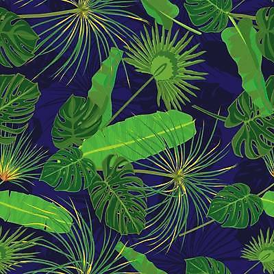 EPS 해외이미지 식물 디자인 백그라운드 잎 꽃무늬 패턴 일러스트 자연 바나나 손바닥 미술 내부 초록색 여름 유행 정원 검은색 어둠 봄 수확 직물 숲 인쇄 천 그림 에코 휴양지 하와이 내추럴 봉황 생태학 양치류 이국적 하와이인 해외일러스트 외국인 손 계절 교육 꽃 컬러 무늬 농업 과일 문화예술 환경 미국 장소 생태계 파일형식 벡터 이미지허브