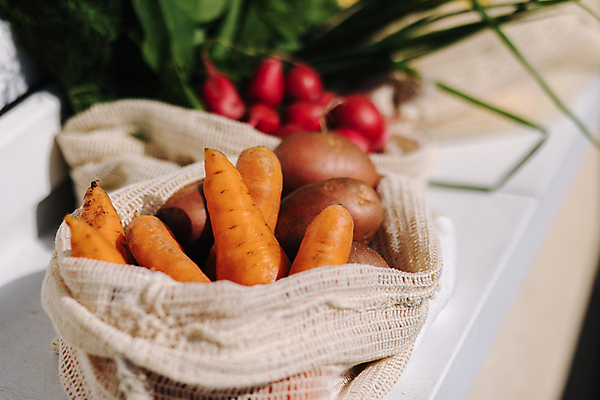 포토 JPG 해외이미지 라이프스타일 잡화 음식 백그라운드 컨셉 인터넷 다이어트 채소 가방 과일 자연 탁자 주택 실내 파슬리 건강 옥수수 요리 사람없음 초록색 쇼핑 상점 주방 저녁식사 재활용 타이핑 신선 면 시장 맛 먹기 준비 에코 유기농 생태계 패키지 온라인 낭비 채식주의자 비건 해외포토 웰빙 컬러 가구 모션 곡류 내부 건물 생활 환경 식사 친환경 채식 파일형식 이미지허브